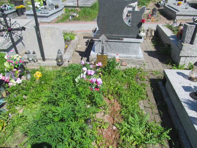 Grób Władysław Jastrzębski